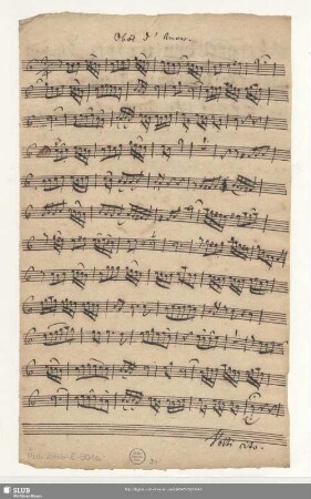 Oboe d'amour. [transp.]