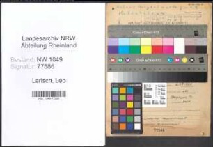 Entnazifizierung Leo Larisch , geb. 08.12.1890 (Ingenieur)