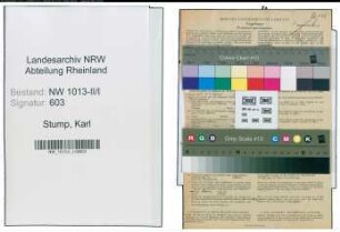 Entnazifizierung Karl Stump , geb. 03.01.1891 (Buchhalter)