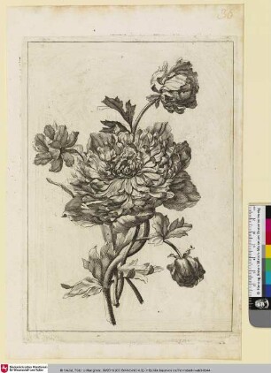 [Blumengebinde]