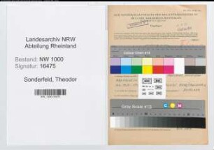 Entnazifizierung Theodor Sonderfeld, geb. 04.11.1909 (Kuechenmeister)