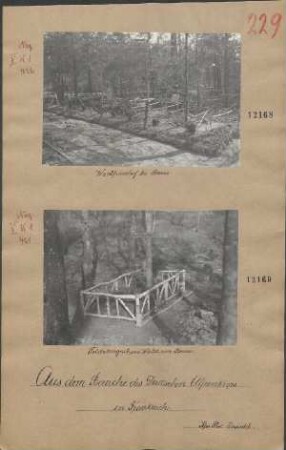 Waldfriedhof bei Berru