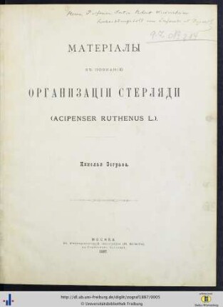 Materialy k'' poznaniju organizacii sterljadi (Acipenser Ruthenus L.)