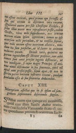 Caput XIII. Martyrium affectat quo in se ipsum ad sanguinem saepenumero desaeviendo supplet.