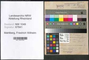 Entnazifizierung Friedrich Wilhelm Mahlberg , geb. 20.11.1901 (Landwirt)