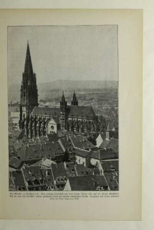 Das Münster zu Freiburg i.B.