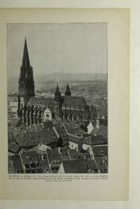 Das Münster zu Freiburg i.B.