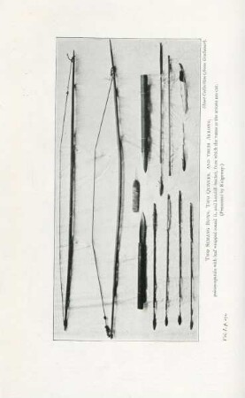 Two Semang bows, two quivers, and their arrows, ...