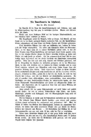 Die Amerikanerin im Lehrberuf