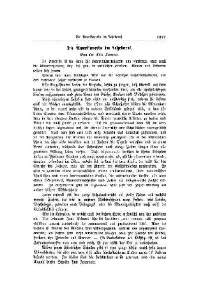 Die Amerikanerin im Lehrberuf