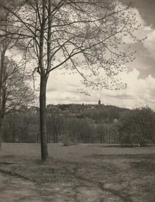 Plauen. Blick zum Bärensteinturm