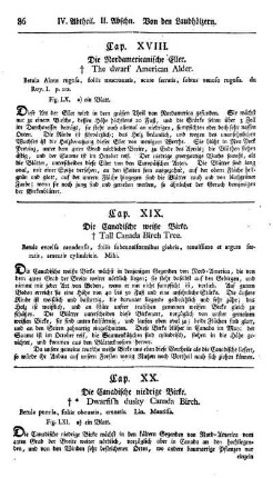 Cap. XX. Die canadische niedrige Birke. Betula pumila. Linn. Mantissa.