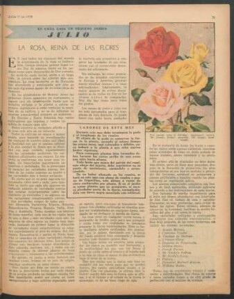 En cada casa un pequeño jardín - Julio : La rosa, reina de las flores