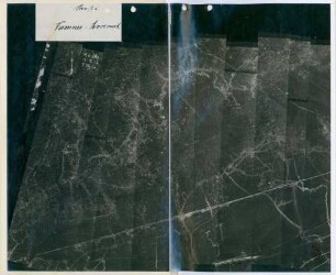 Foto der Straße von Varennes nach Avocourt (Luftbild)