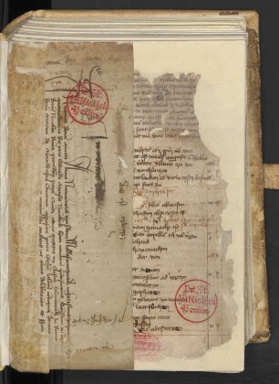 Fragment: Olmützer Urkunde, 1450