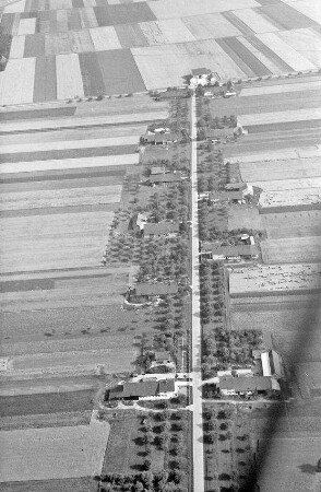 Siedlung