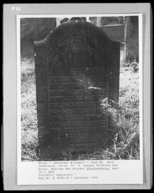 Grabstein von Jetle, Tochter des Salman Statberg aus Hanau, Ehefrau des Michael Pfeddersheim (gestorben 1854.07.29)