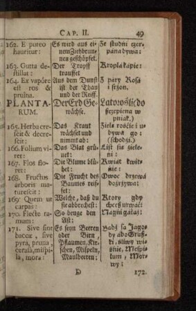 Plantarum.