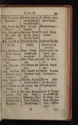 Plantarum.