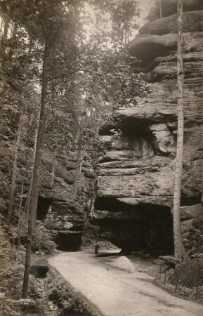 Elbsandsteingebirge. Zscherergrund bei Wehlen mit weit überhängenden Felsen