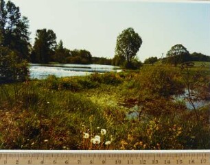 Fotografie, Deichow (Dychów)