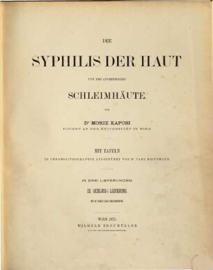 Die Syphilis der Haut und der angrenzenden Schleimhäute, III