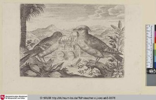 [Seidenschwanz und ein anderer Vogel; Waxwing and another Bird]