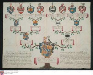 Ahnenprobe des Hugo Wilhelm v. Wetzel gen. v. Carben. - ausgefertigt 1770 Oktober 25, Papier