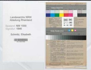 Entnazifizierung Elisabeth Schmitz, geb. 12.04.1918 (Stenotypistin)