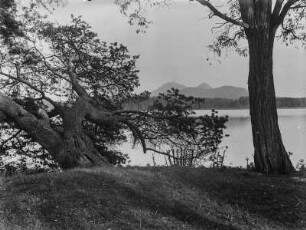 Brehynský rybník (Heideteich) : Der Stausee Brehynský rybník (Heideteich). Im Hintergrund Erhebungen des Rollberg-Hügellandes