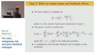 Fire sales, endogenous risk and price-mediated contagion