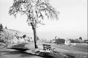 Saig: Weg oberhalb Saig; mit Blick auf Ort