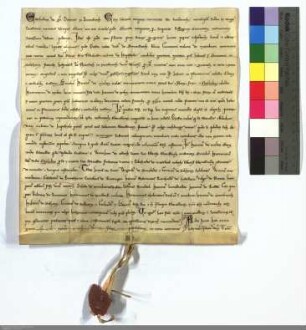 Eckard Decan zu Amöneburg beurkundet, daß Ritter Kraft von Schweinsberg ein viertel und ritter Heinrich von Mölle und seine Schwägerin Mechtild gl...