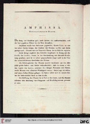Amphissa Einundzwanzigste Platte
