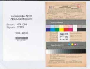Entnazifizierung Jakob Flock, geb. 17.08.1900 ()