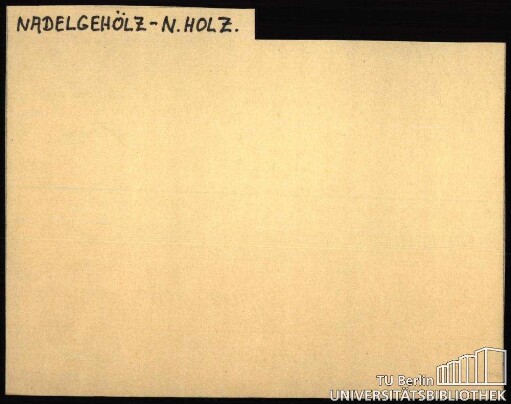 NADELGEHÖLZ; NADELHOLZ