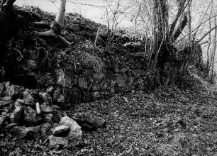 Ruine der Burg Ziegenberg; Witzenhausen, Burgberg, Vogelherd, Heidelbeerkopf