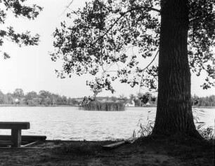 Teich bei Milkel