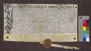 Schuldverschreibung des Friedlin Wettin zu Sallneck gegenüber der geistlichen Verwaltung der Herrschaft Rötteln über 100 Gulden.