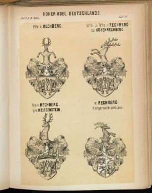 Taf. 81. Frh: v. Rechberg. - Grfn: u: Frhn: v. Rechberg zu Hohenrechberg. - Frh: v. Rechberg. gen. Weissenstein. - v: Rechberg steyermärkische Linie.
