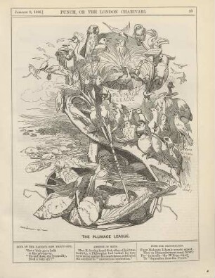 The plumage league