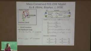 Pattern formation in a membrane-bulk model for cell polarity and intracellular oscillations