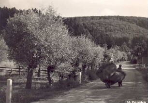 Weg nach Heiligenkirchen. Detmold. Heiligenkirchen