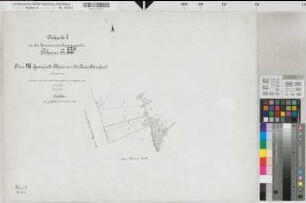 Rheine r.d.Ems (Rheine), Zusammenlegung Rheine r.d.Ems  Stadtberg, Urkarte I Rheine r.d.Ems Flur 8