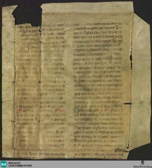 Homiliarium, Fragment - Cod. Karlsruhe 1443