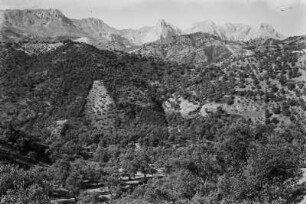 Landschaft : Blick auf die Vegetation in einem Tal der Berge des Kabylischen Massifes.