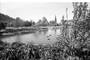 Freiburg: Stadtgarten, Blick über Teich zum Münster