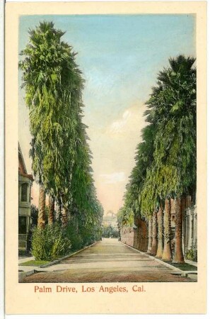 Los Angeles. Palm Drive, Los Angeles, Cal.