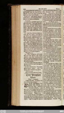 Der Prophet Amos.