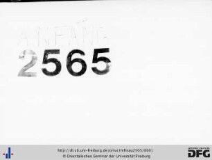 MF Mau 2565